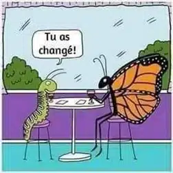 le changement ou la métaphore du papillon