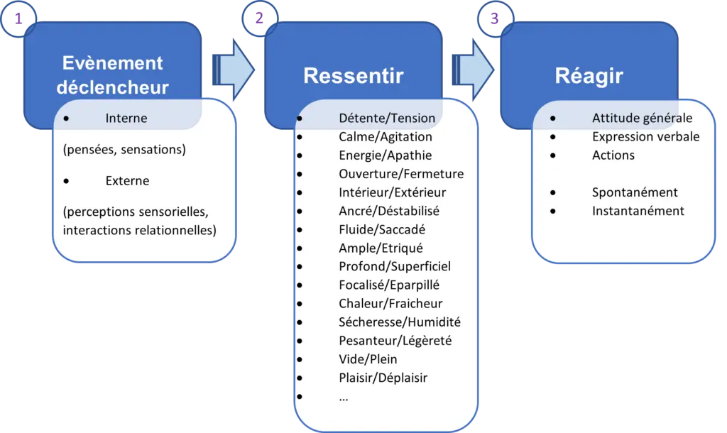 schéma de l'émotion en réaction automatique